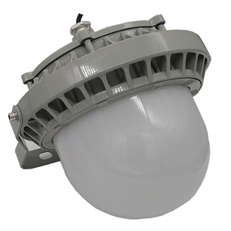 立华王（LihuaKing） LH6100C-B LED强光工作灯 50W （单位：个） 银灰色