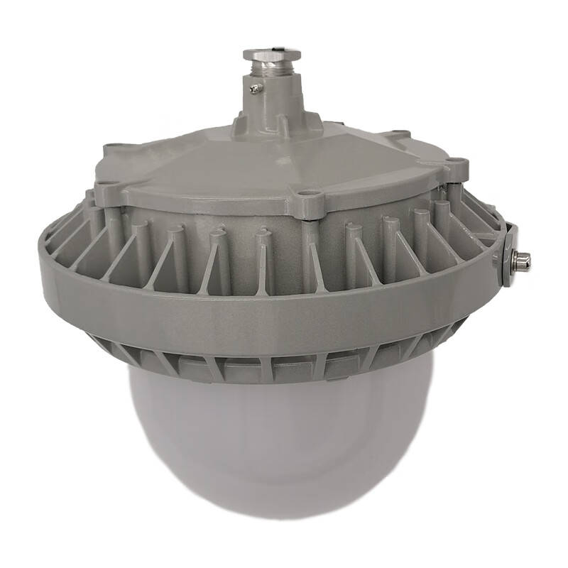 立华王（LihuaKing） LH6100C-C LED强光工作灯 60W （单位：个） 银灰色