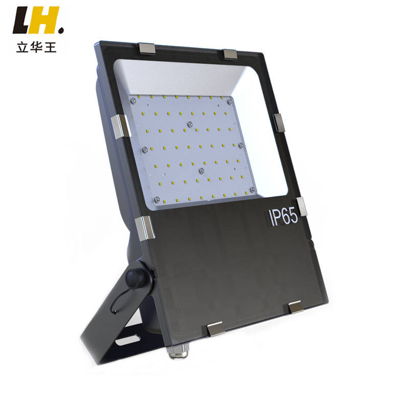 立华王（LihuaKing） LH6500-B LED工作灯 100W （单位：个） 黑色