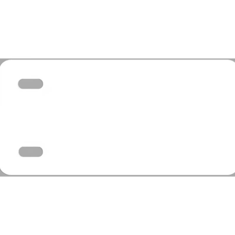 丽标（capelabel） 3060 短边单边双孔挂牌 30*60mm0.8厚 1200片/盒 （单位：盒） 白色