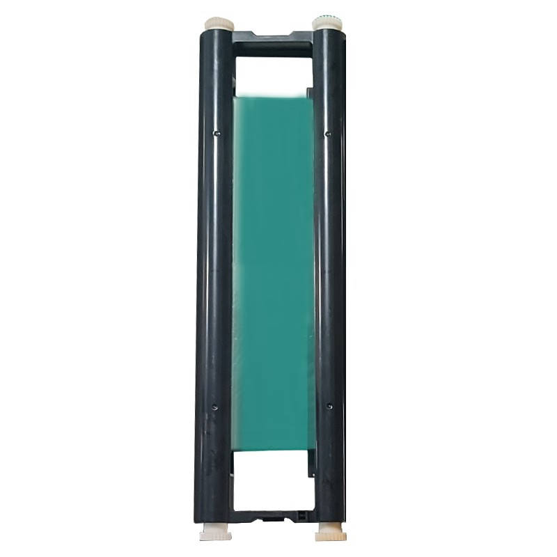 丽标（capelabel） D-HD220G 标签色带 220mm*20m （单位：卷） 绿色