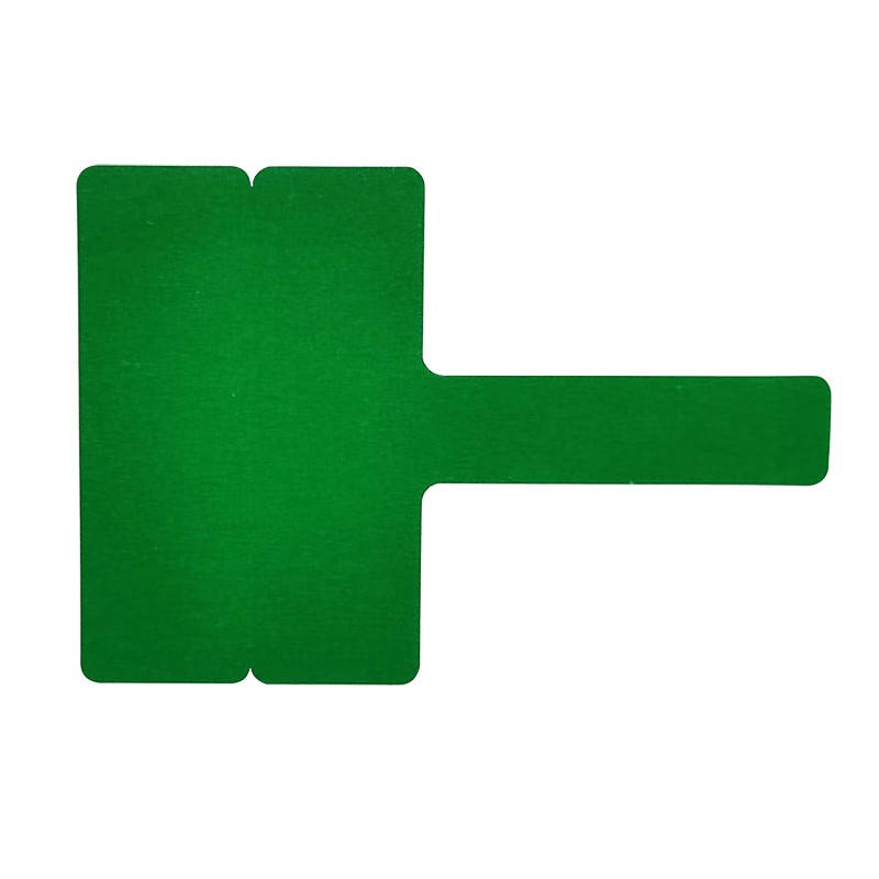 丽标（capelabel） T3825G 标签纸 38mm*25mm+30mm （单位：卷） 绿色