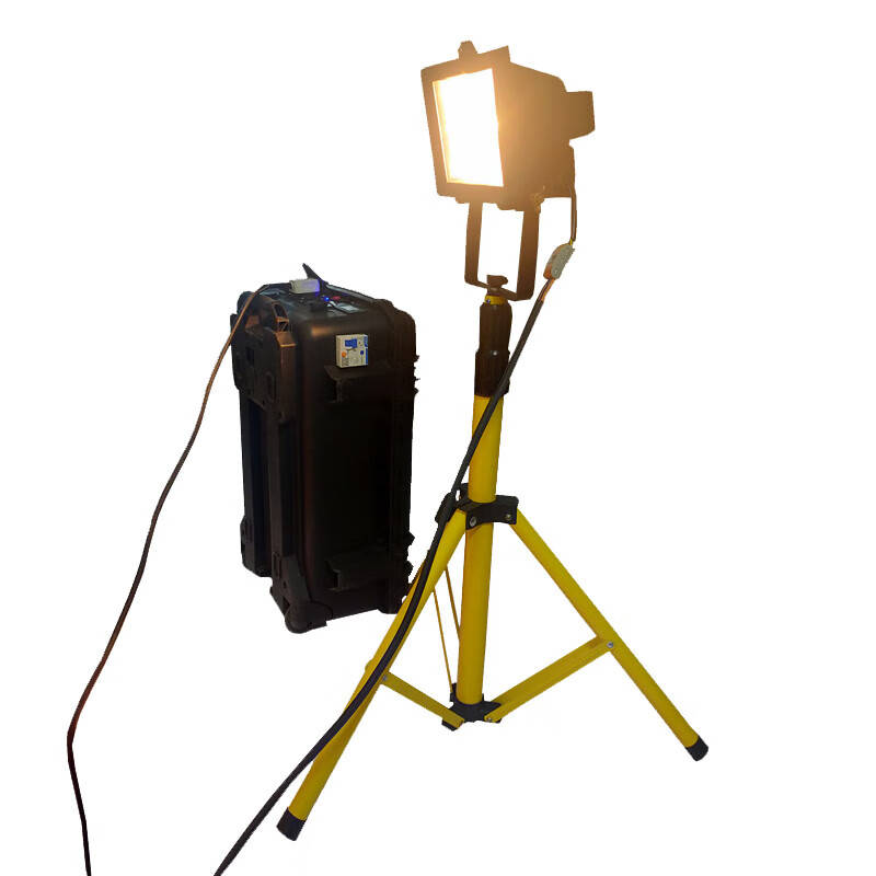 领航电器 LH600A 工作灯（移动灯） 50W （单位：台） 黑色