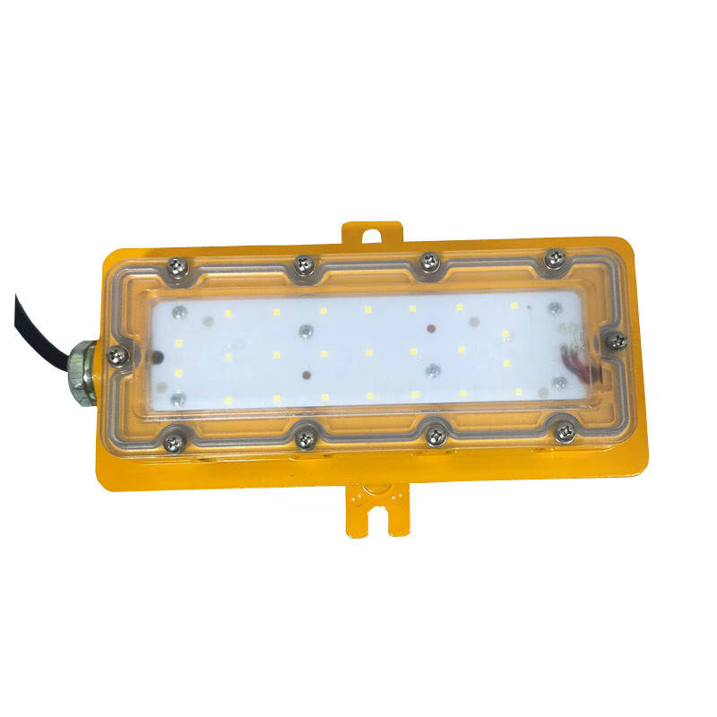 领航电器 LHB8685-E LED防爆低顶灯 18W （单位：盏） 黄色