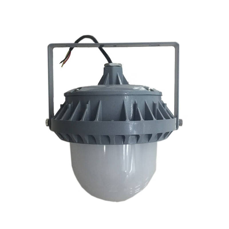 领航电器 LHF2109 LED平台灯 30/50W （单位：个） 灰色