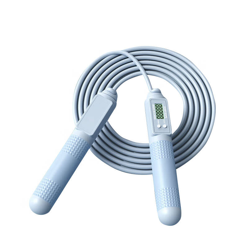 陇步昇 ZY-2403JC 跳绳 280cm （单位：套） 蓝色