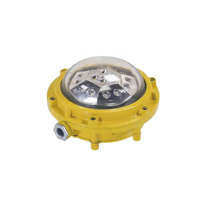 鲁中平高 LZPG-570 防爆灯 45W （单位：盏） 黄色