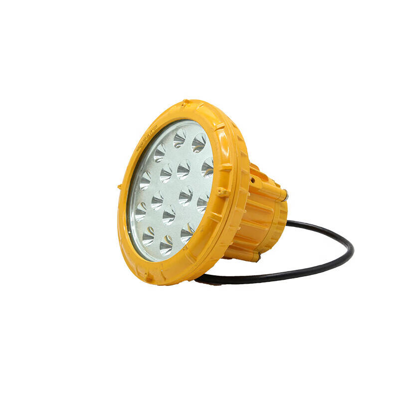 鲁中平高 LZPG-920 防爆灯 40W （单位：盏） 黄色