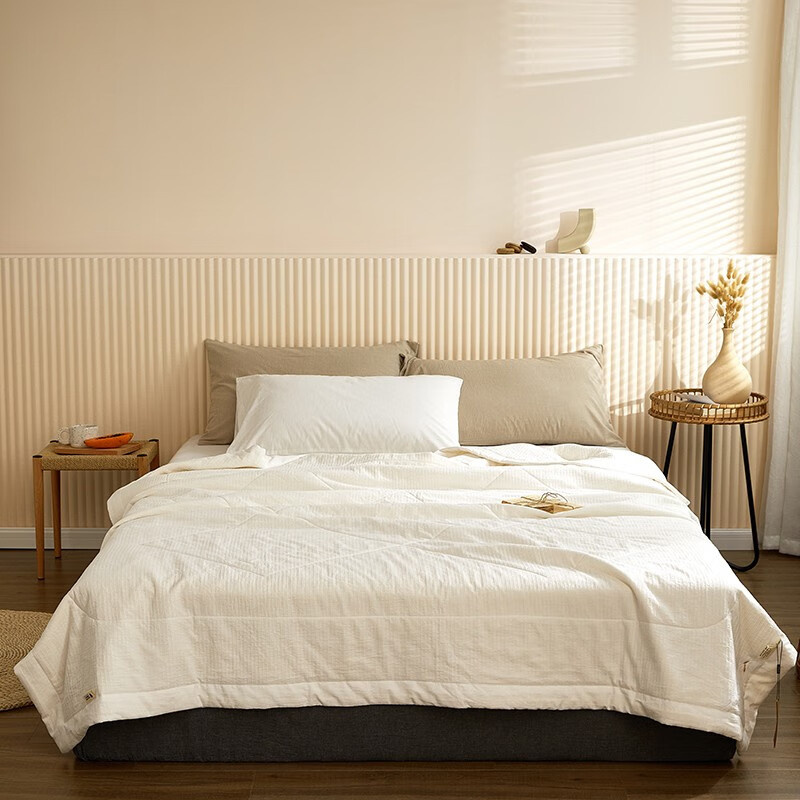 伊伊爱 BZ0LFS2100761 夏被秋冬被子 200*230cm （单位：条） 白色