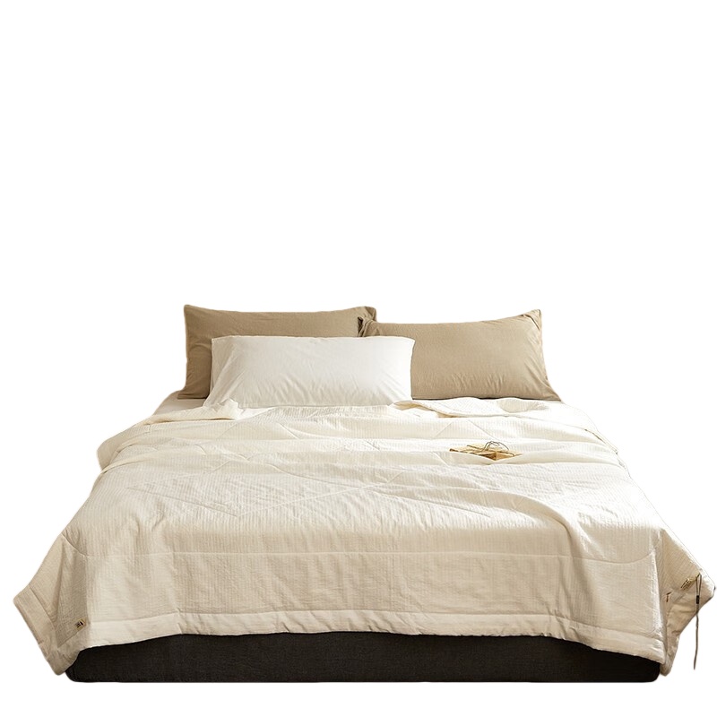 伊伊爱 BZ0LFS2100764 夏被秋冬被子 200*230cm （单位：条） 白色