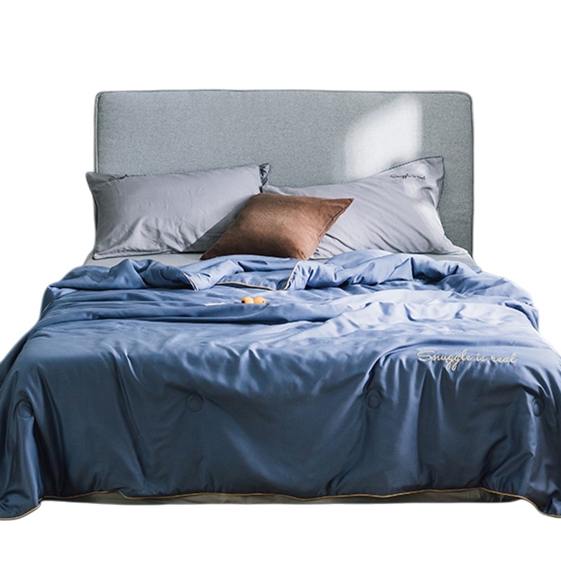 伊伊爱 BZ0LFS2100796 莱赛尔夏凉被芯亲肤夏被 200*230cm （单位：条） 月光蓝