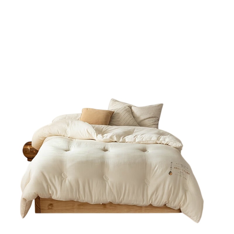 伊伊爱 BZ0LFS2201112 全棉大豆春秋被 200*230cm （单位：条） 白色