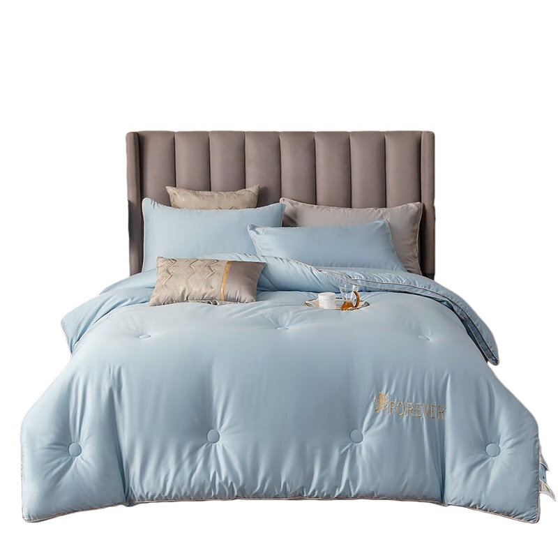 伊伊爱 BZ0TDC2100835 澳棉100支大豆秋冬被 150*200cm （单位：条） 维多利天蓝