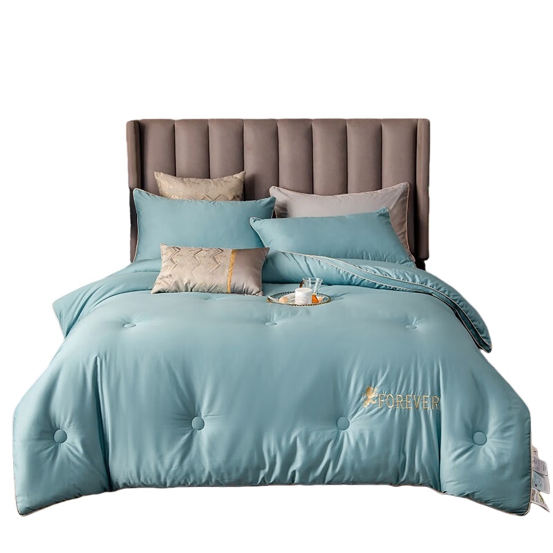 伊伊爱 BZ0TDC2100837 澳棉100支大豆秋冬被 200*230cm （单位：条） 维多利湖蓝