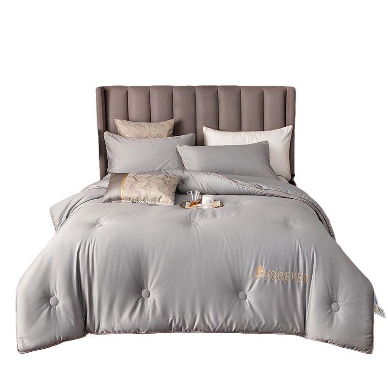 伊伊爱 BZ0TDC2100838 澳棉100支大豆秋冬被 220*240cm （单位：条） 维多利灰