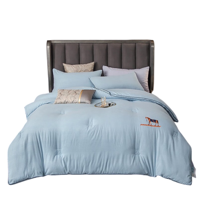 伊伊爱 BZ0TDC2100839 甄柔棉雕花大豆秋冬被 150*200cm （单位：条） 御马天蓝