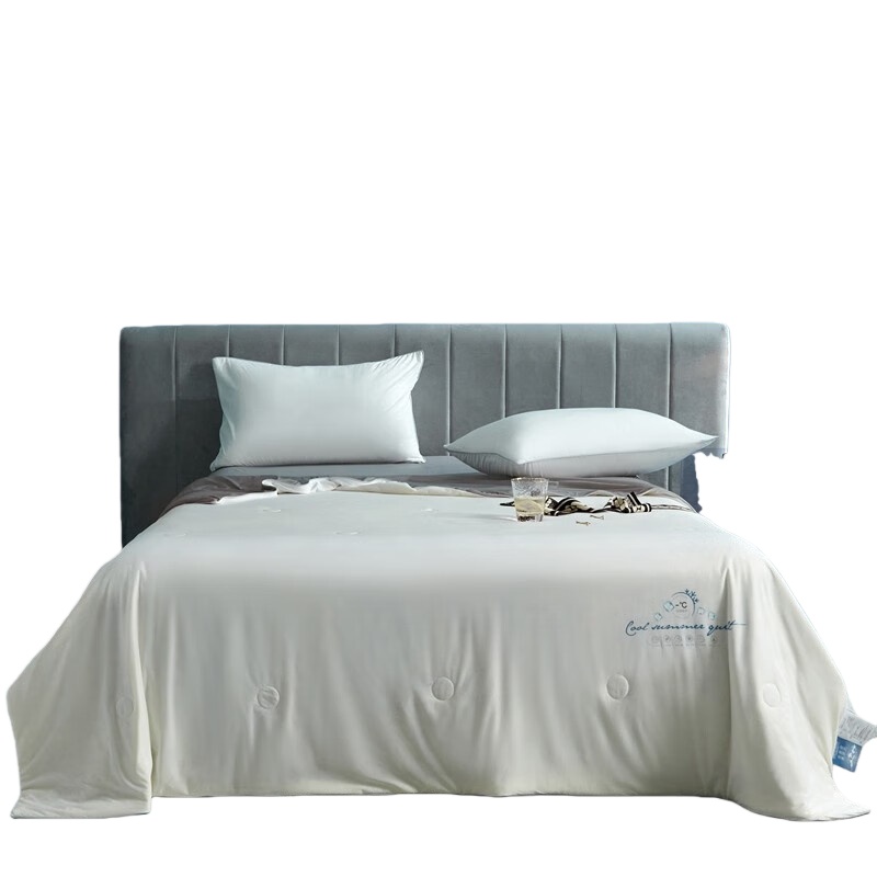 伊伊爱 BZ0TDC2201040 凉感大豆夏凉被 200*230cm （单位：条） 凉感白灰