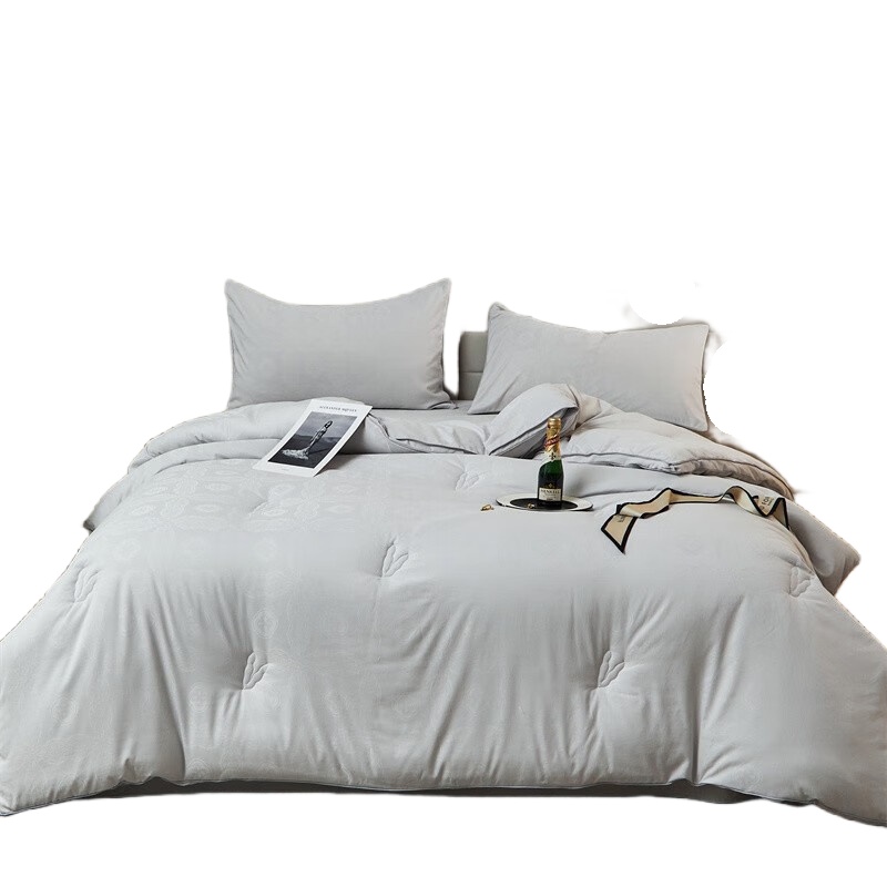 伊伊爱 BZ0TDC2201133L 糯绵磨毛大提花大豆秋冬被 220*240cm （单位：条） 火山灰