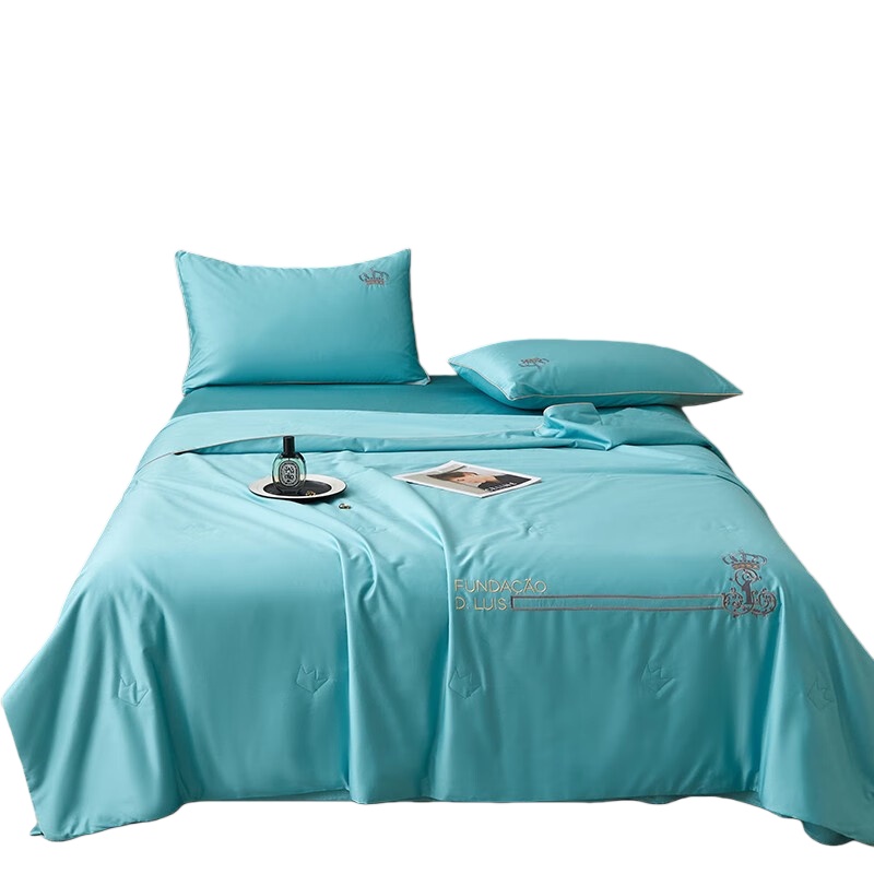 伊伊爱 BZ0TDC2301107 澳棉100支天雪大豆绣花夏被 200*230cm （单位：条） 安格斯湖蓝