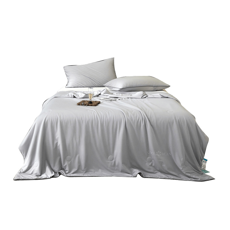 伊伊爱 BZ0TDC2401178 八星凉感提花大豆夏被 200*230cm （单位：条） 高级灰