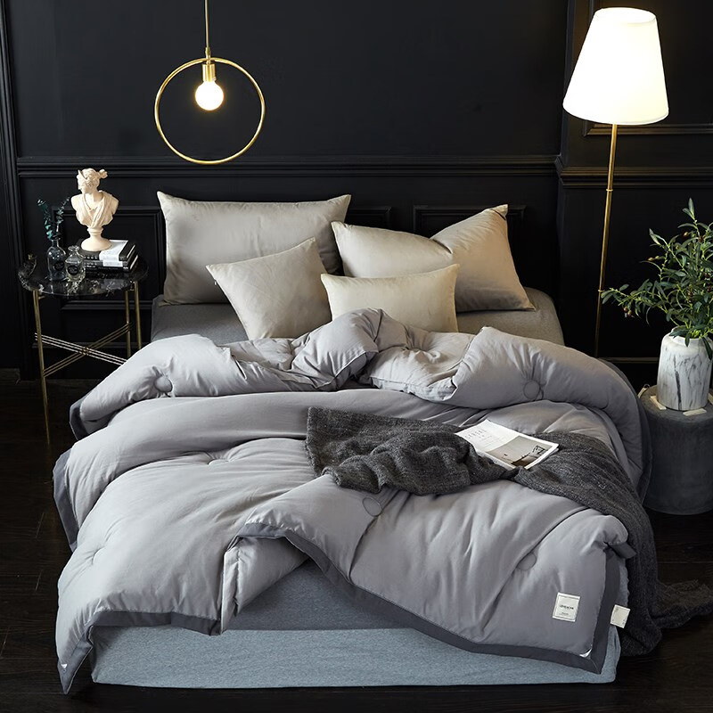 伊伊爱 BZ-8XWB-03 日式简约秋冬保暖被子被芯 200*230cm （单位：条） 灰色