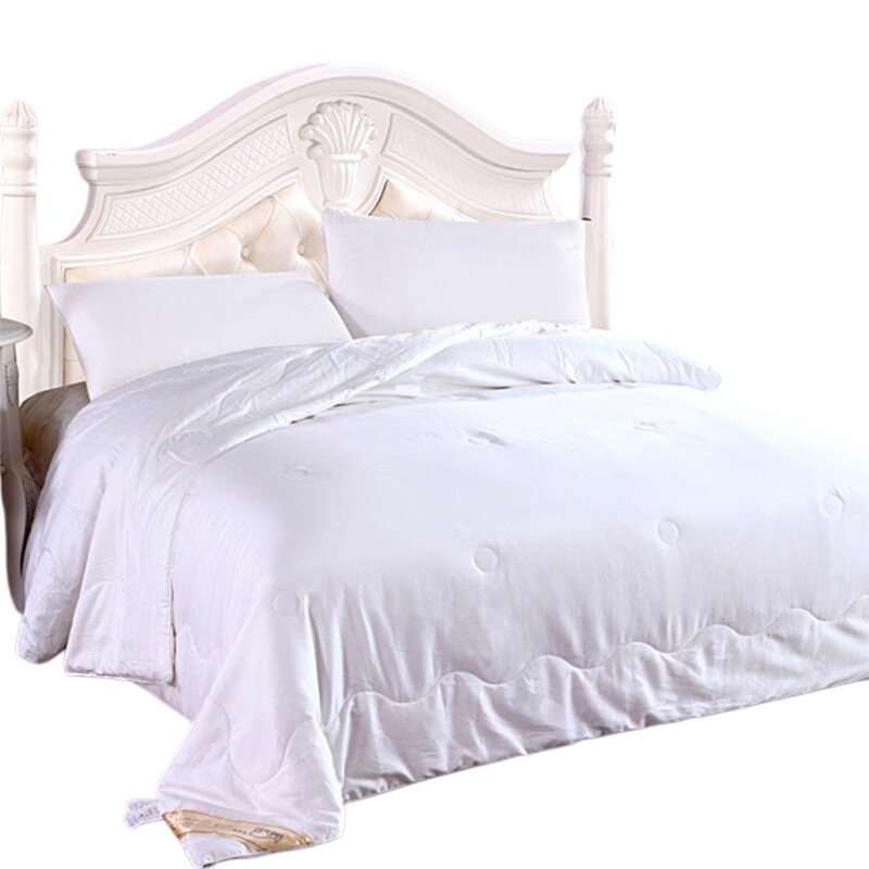 伊伊爱 BZ-9CSB100-01 蚕丝春秋被 200*230cm （单位：条） 白色