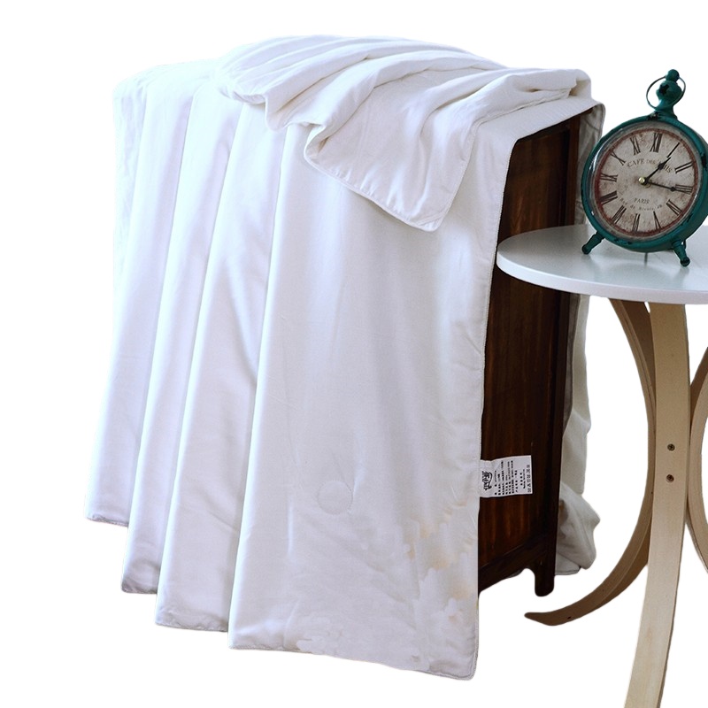 伊伊爱 BZBQS02000217 榨蚕丝被 200*230cm （单位：条） 白色