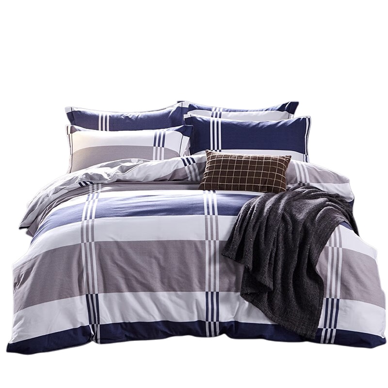 伊伊爱 QMTJ-8MM-02 柔软舒适磨毛四件套 220*240cm （单位：套） 风格迥异