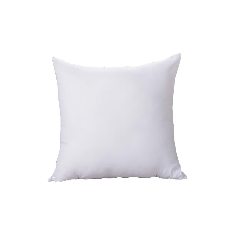 伊伊爱 YDJDS230417 酒店棉花靠垫 46*46cm （单位：个） 白色