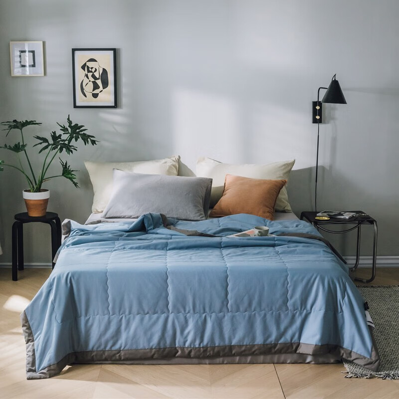 伊伊爱 Z02000122 素色纯棉拼色边夏被新款绗缝空调被 200*230cm （单位：条） 天蓝