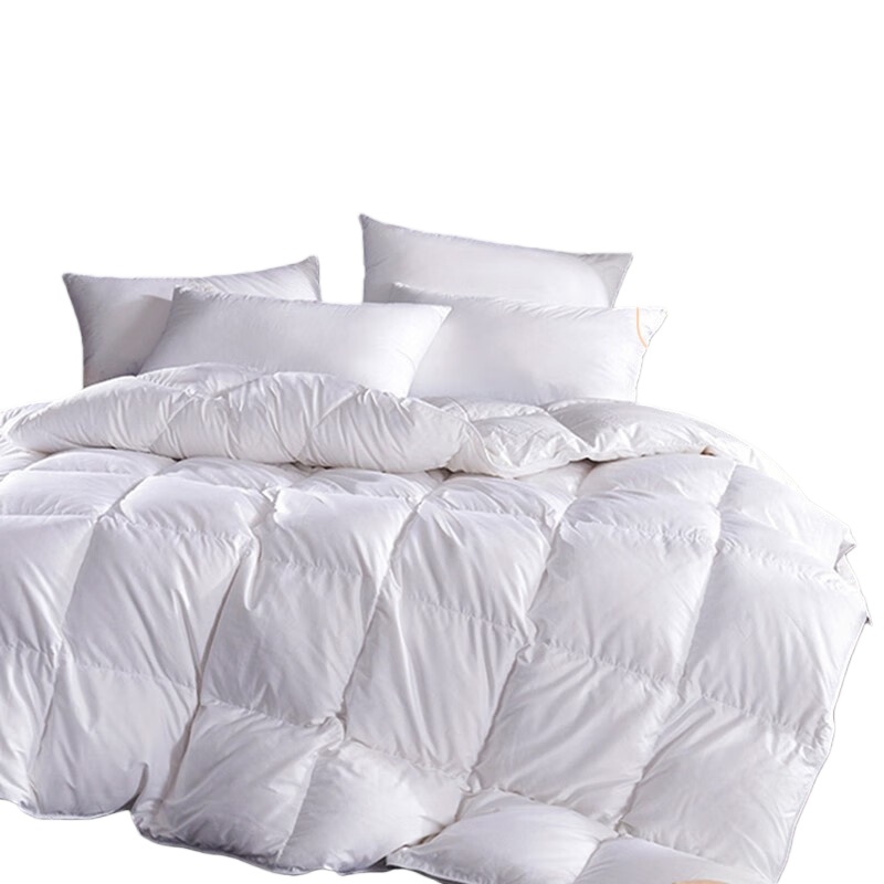 伊伊爱 Z02000187 40S纯棉白鸭绒被 180*220cm （单位：条） 白色