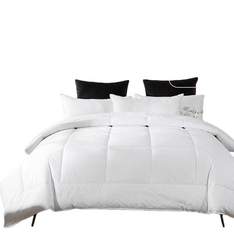 伊伊爱 Z02000189 40S纯棉五星宾馆酒店被芯羽丝绒被 160*220cm （单位：条） 白色