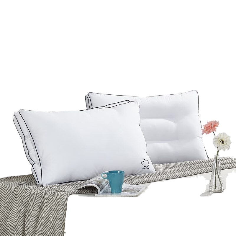 伊伊爱 ZX-8YSR-01 羽丝绒双胎枕芯 48*74cm （单位：个） 白色