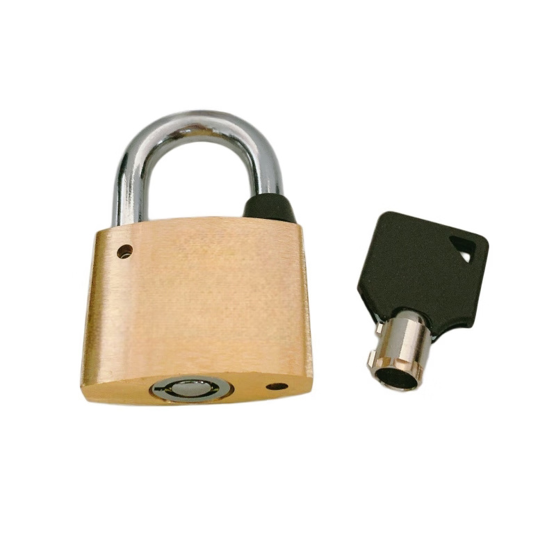 中犀 ZX-06 铜挂锁 40mm （单位：个） 黄色