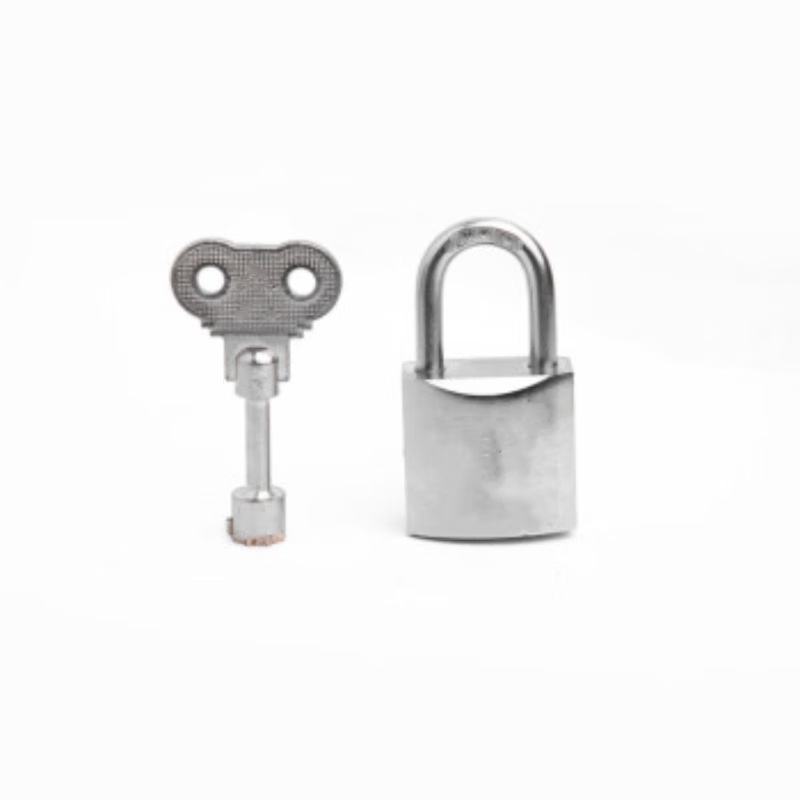 中犀 ZX-55 挂锁 30mm 通开 锌合金梅花锁 （单位：个） 银色