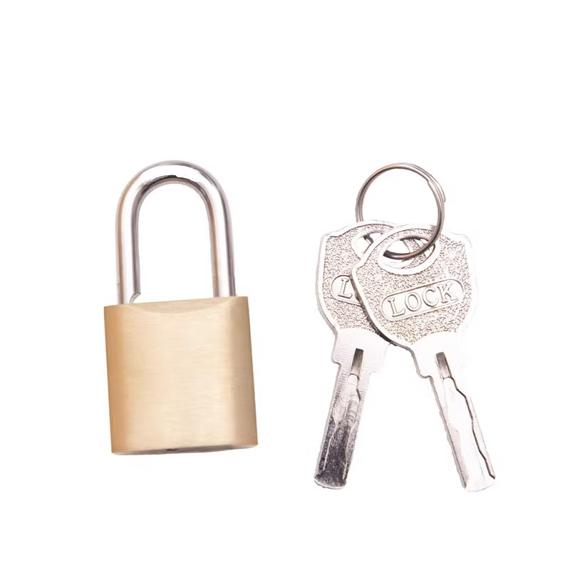 中犀 ZX-65 挂锁 30MM 蛇形铜 （单位：个） 黄色