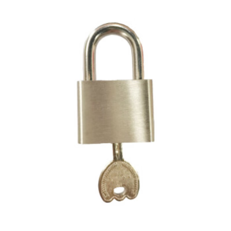 中犀 ZX-76 挂锁 40mm 钢制 （单位：个） 银色