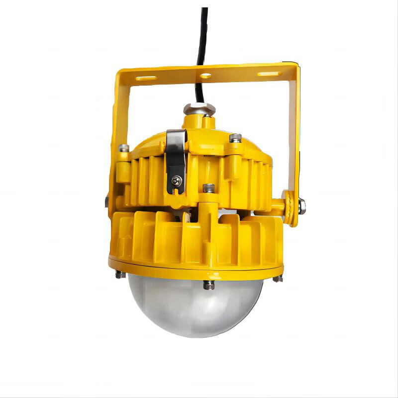 晫安联 ZEX007 防爆平台灯 60W AC220V （单位：个） 黄色
