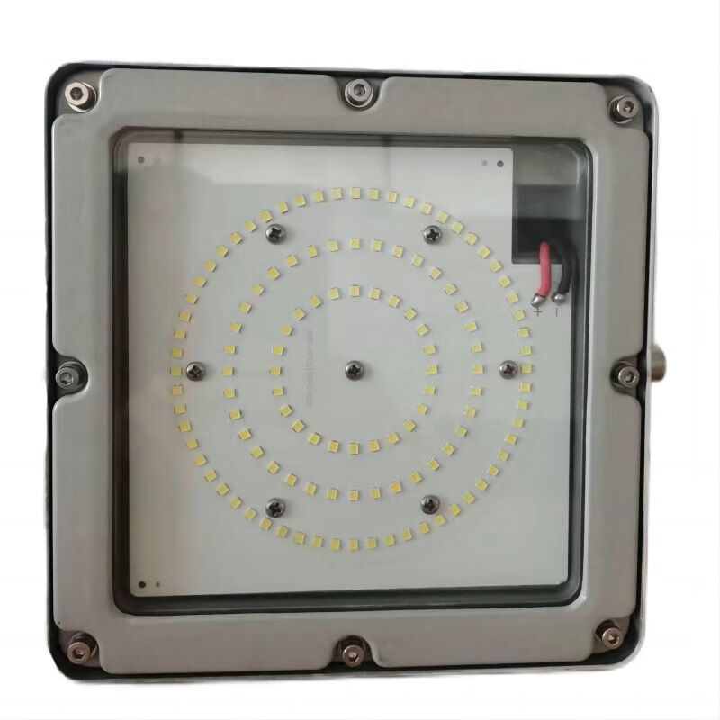 晫安联 ZX007-A 泛光工作灯 100W IP66 220V 6500K （单位：个） 灰色