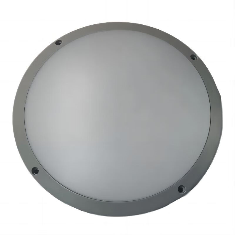 晫安联 ZX019 防尘灯 20W AC220V IP65 5700K （单位：个） 灰色