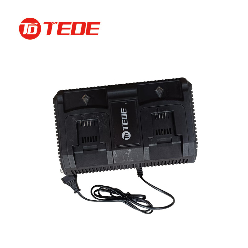 TEDE YD-5496 快速双充充电器 6.0AH （单位：个）