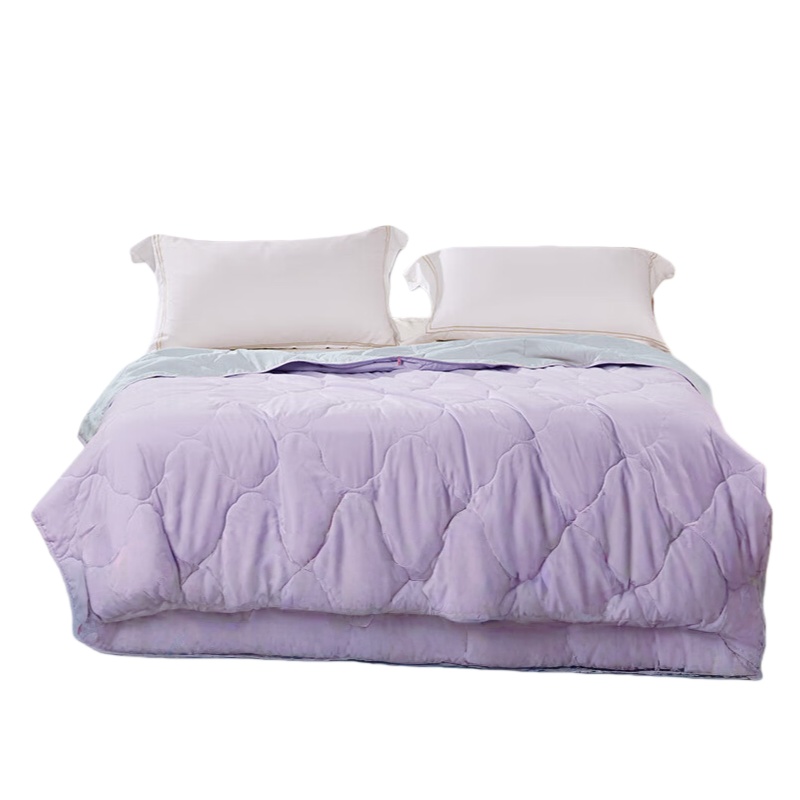 富安娜 远山&middot;紫 净柔夏被 203*229cm （单位：床）