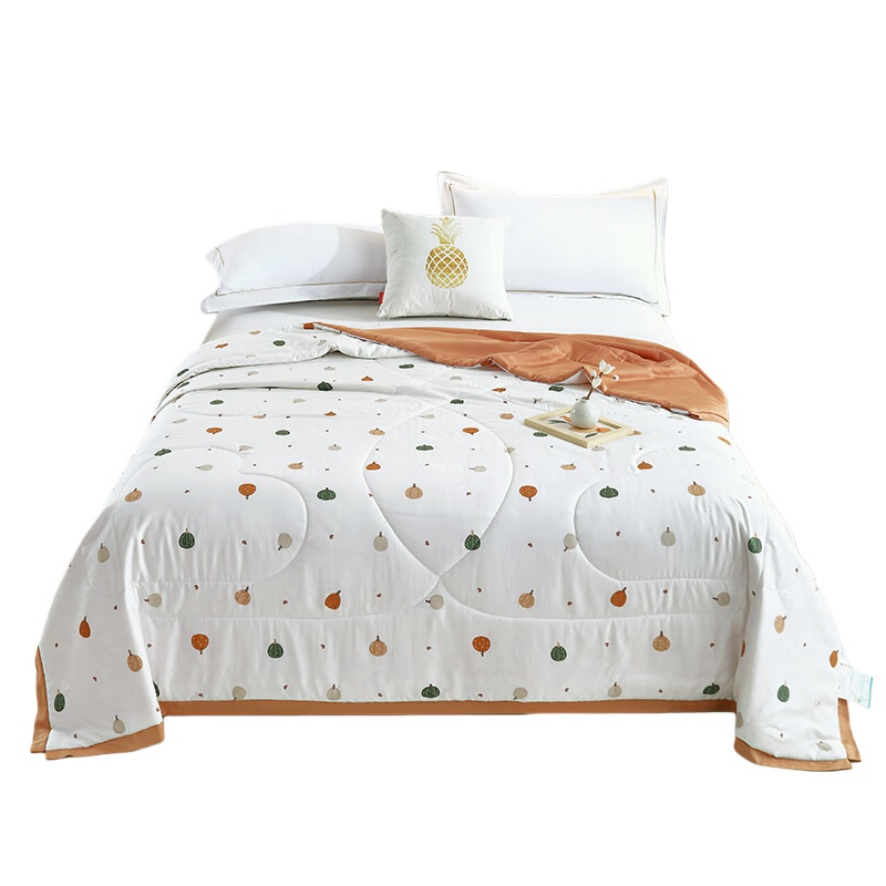 洁丽雅 JLY-B018 秋南织凉美眠夏被 200*230cm （单位：床）