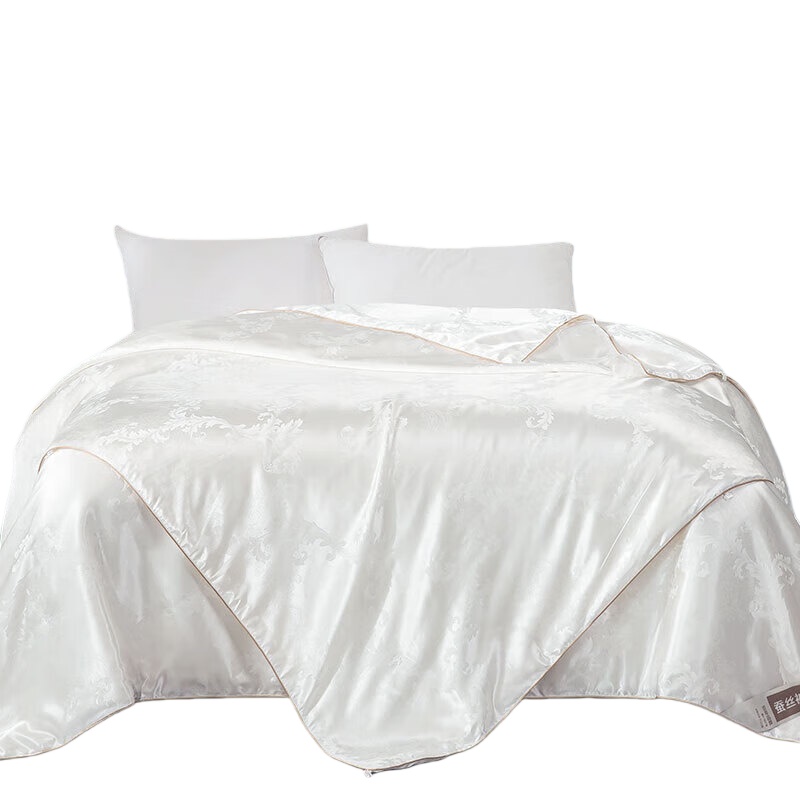 恒源祥（HYX） HCSB04 A类抗菌大提花蚕丝子母被 200*230cm （单位：条）