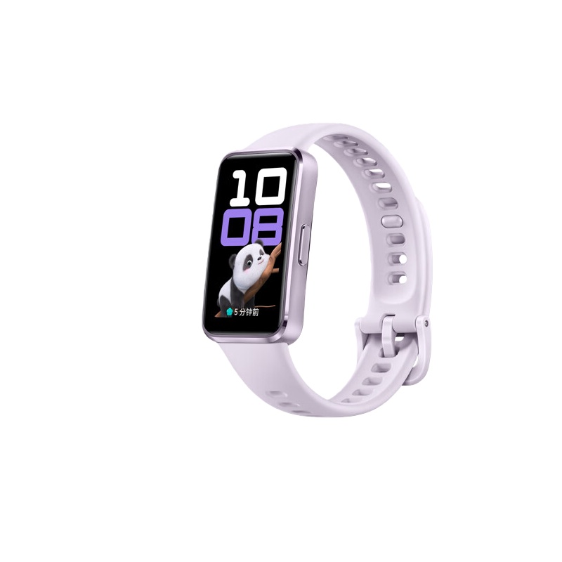 华为（HUAWEI） NOR-B29 手环10 标准版 腕围120-190mm （单位：个） 流光紫