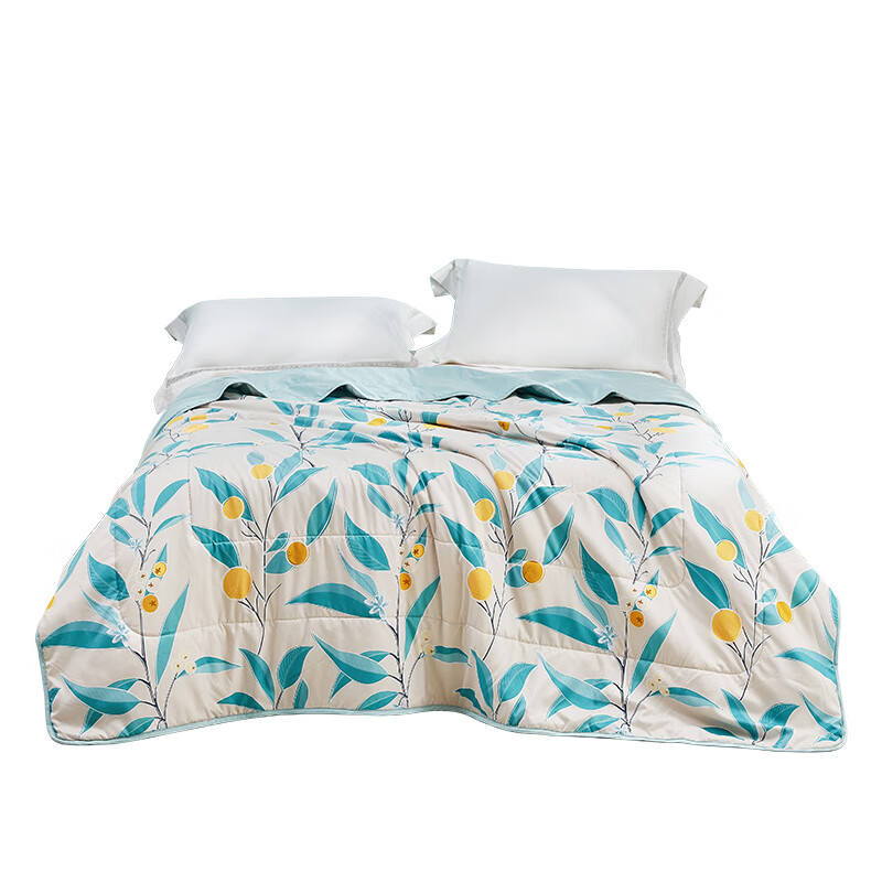 罗莱家纺（LUOLAI） 芬梦 清凉夏被 150*200cm （单位：床）