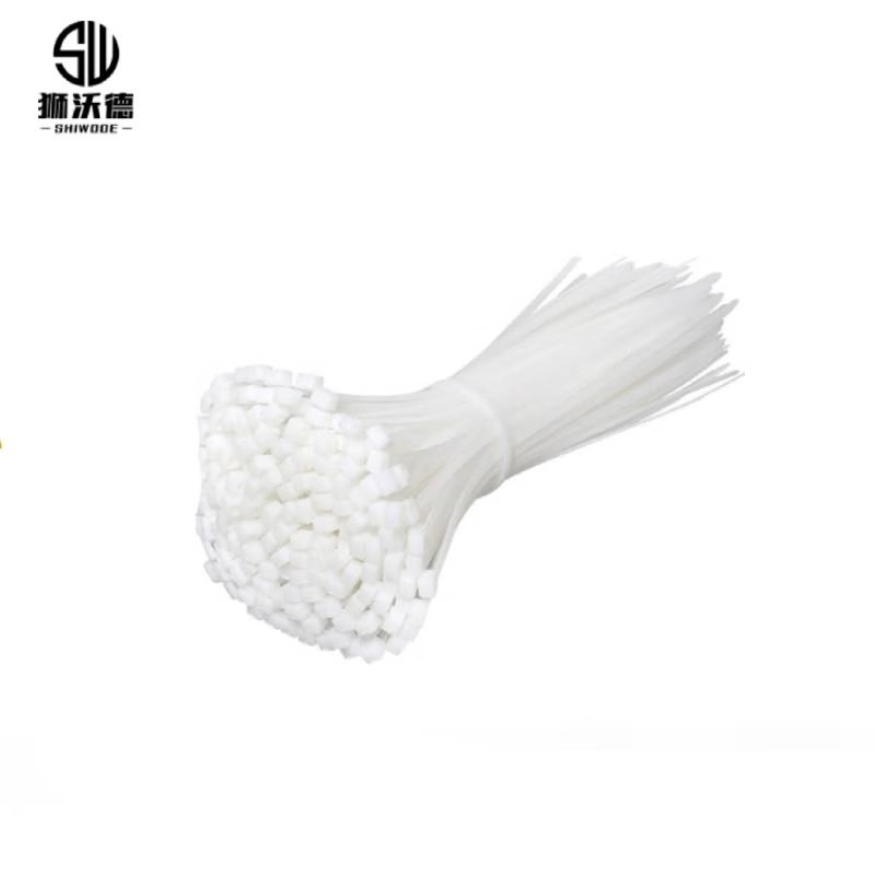 狮沃德（shiwode） SWD-100G-46300 自锁式尼龙扎带 4.6*300mm 100根/包 （单位：包）  白色