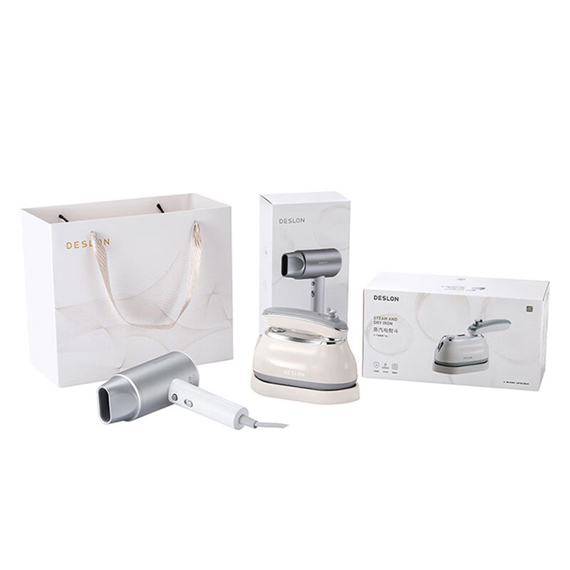 德世朗 DDQ-TZ05 电熨斗电吹风套装  （单位：套）  白色