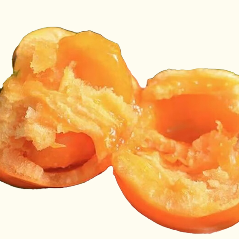 百年盛谷 黄柿子 火锅汤料 100g/袋 10袋/组 （单位：组）  