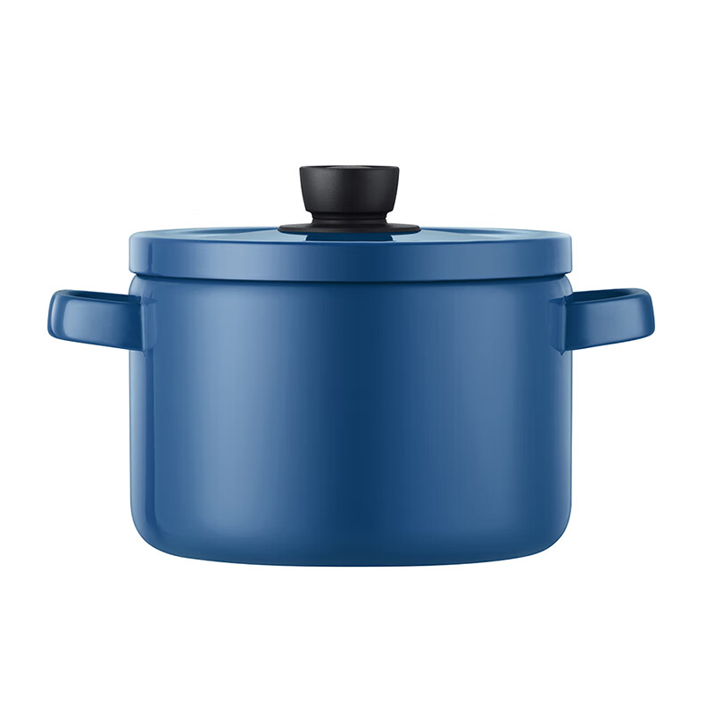 德世朗（DESLON） DFS-T941A-BU 珐琅多用高汤锅 22cm （单位：个）  